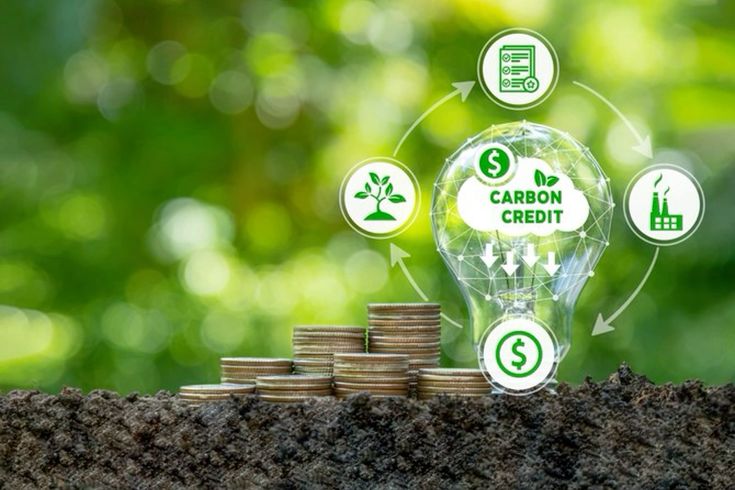 Zambia's Carbon Credit Gold Rush: How Businesses Can Generate Revenue from the New Carbon Feed-In Premium Programme